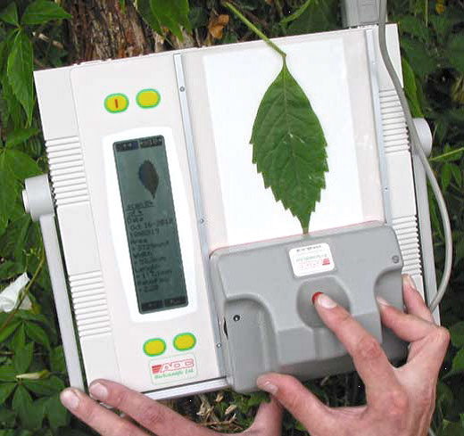 AM350 plant and soil testing meter collects data in the field