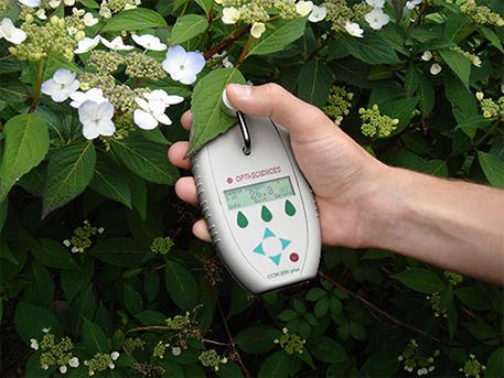 scientist using the CCM-200 plant and soil testing meter to collect data in the field